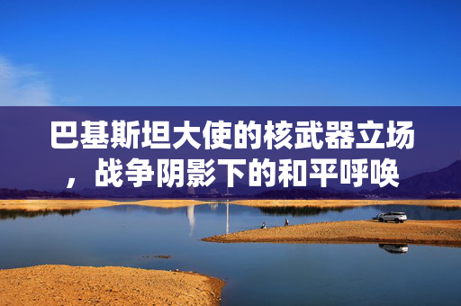 巴基斯坦大使的核武器立场，战争阴影下的和平呼唤