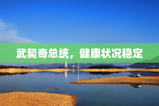 武契奇总统，健康状况稳定