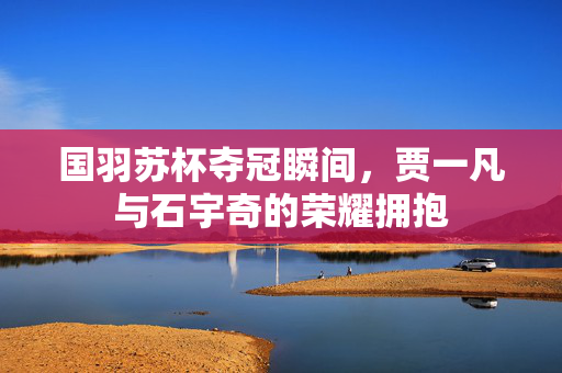 国羽苏杯夺冠瞬间，贾一凡与石宇奇的荣耀拥抱