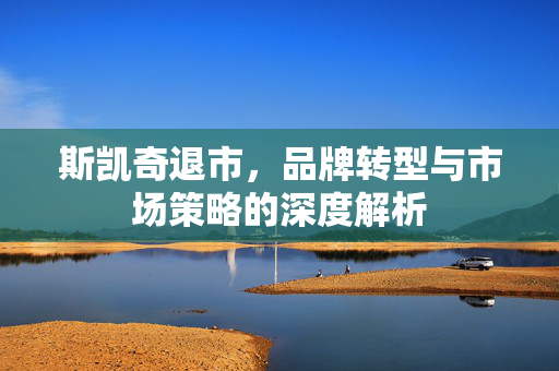 斯凯奇退市，品牌转型与市场策略的深度解析