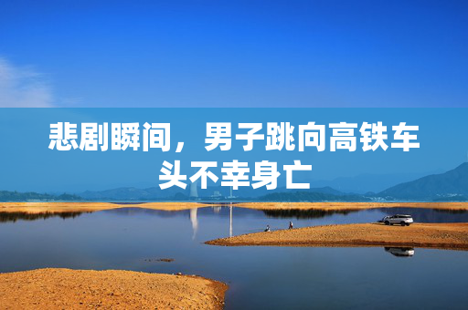 悲剧瞬间，男子跳向高铁车头不幸身亡