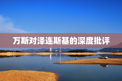 万斯对泽连斯基的深度批评