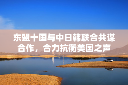 东盟十国与中日韩联合共谋合作，合力抗衡美国之声