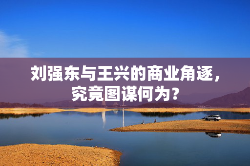 刘强东与王兴的商业角逐，究竟图谋何为？