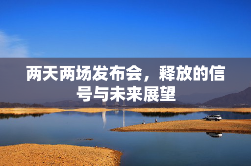 两天两场发布会，释放的信号与未来展望