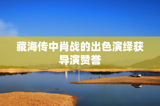 藏海传中肖战的出色演绎获导演赞誉
