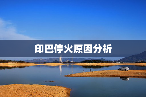 印巴停火原因分析
