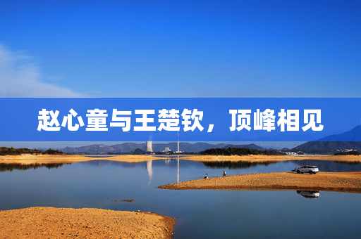 赵心童与王楚钦，顶峰相见