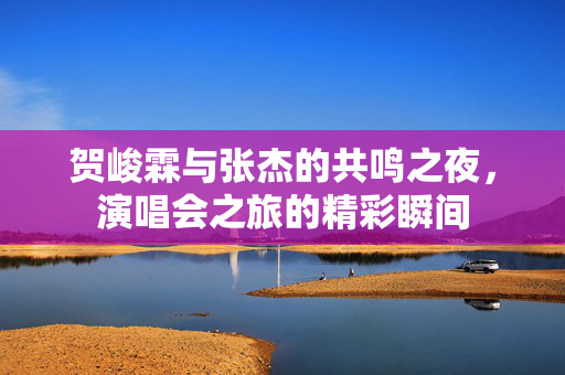 贺峻霖与张杰的共鸣之夜，演唱会之旅的精彩瞬间