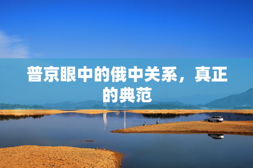 普京眼中的俄中关系，真正的典范