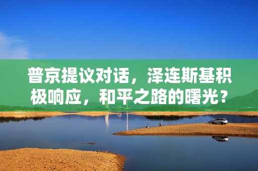 普京提议对话，泽连斯基积极响应，和平之路的曙光？