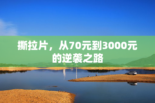 撕拉片，从70元到3000元的逆袭之路