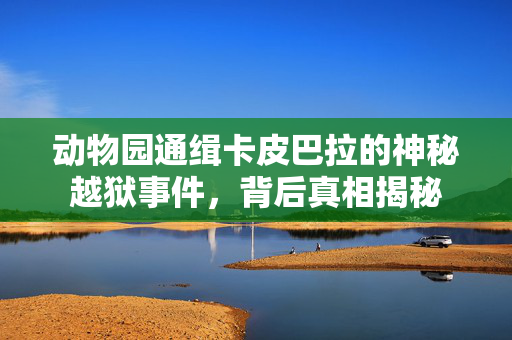 动物园通缉卡皮巴拉的神秘越狱事件，背后真相揭秘