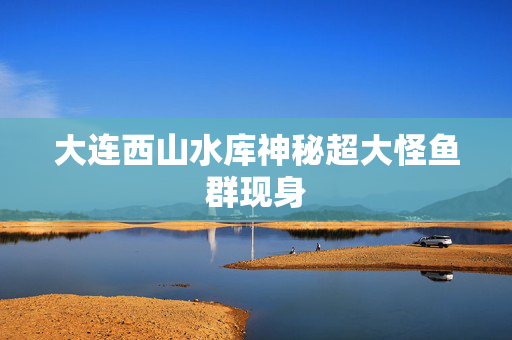 大连西山水库神秘超大怪鱼群现身