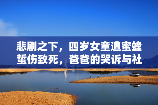 悲剧之下，四岁女童遭蜜蜂蜇伤致死，爸爸的哭诉与社会反思的呼唤