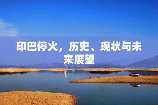 印巴停火，历史、现状与未来展望