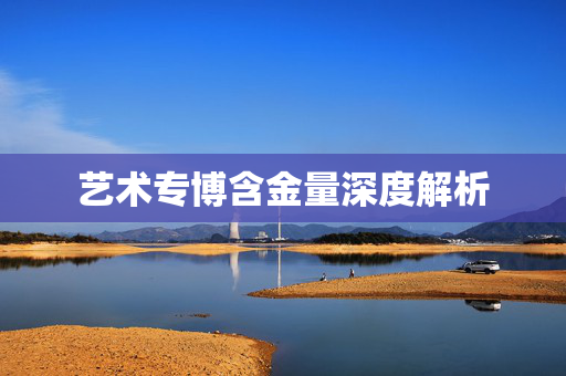 艺术专博含金量深度解析