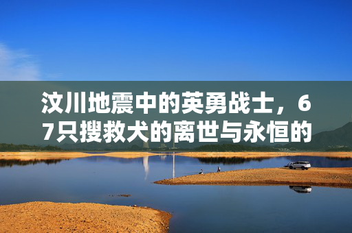 汶川地震中的英勇战士，67只搜救犬的离世与永恒的奉献