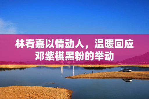 林宥嘉以情动人，温暖回应邓紫棋黑粉的举动