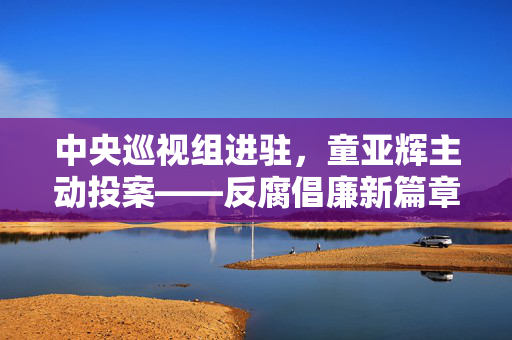 中央巡视组进驻，童亚辉主动投案——反腐倡廉新篇章的启示