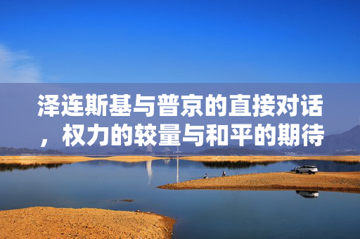 泽连斯基与普京的直接对话，权力的较量与和平的期待