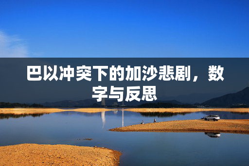 巴以冲突下的加沙悲剧，数字与反思
