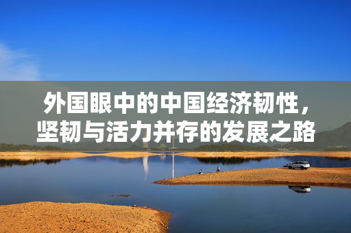 外国眼中的中国经济韧性，坚韧与活力并存的发展之路