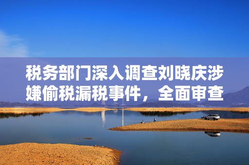 税务部门深入调查刘晓庆涉嫌偷税漏税事件，全面审查与追责的背后