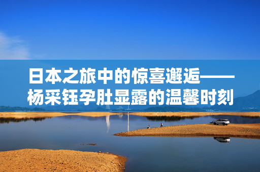 日本之旅中的惊喜邂逅——杨采钰孕肚显露的温馨时刻