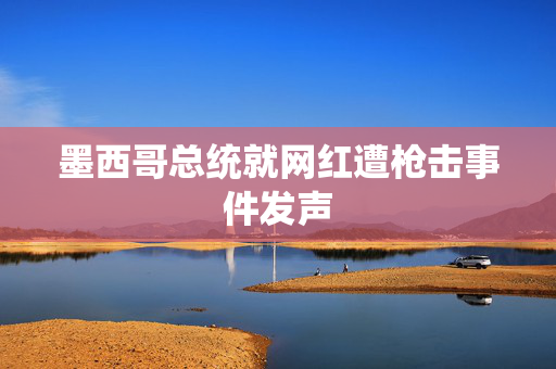 墨西哥总统就网红遭枪击事件发声