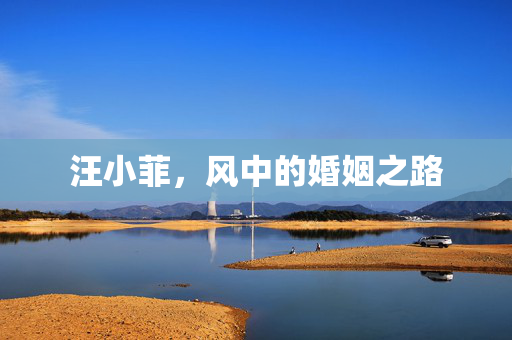汪小菲，风中的婚姻之路