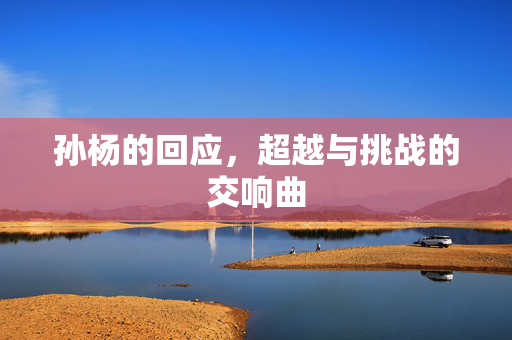 孙杨的回应，超越与挑战的交响曲