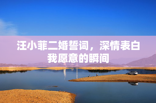 汪小菲二婚誓词，深情表白我愿意的瞬间
