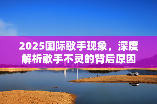 2025国际歌手现象，深度解析歌手不灵的背后原因