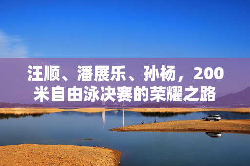 汪顺、潘展乐、孙杨，200米自由泳决赛的荣耀之路