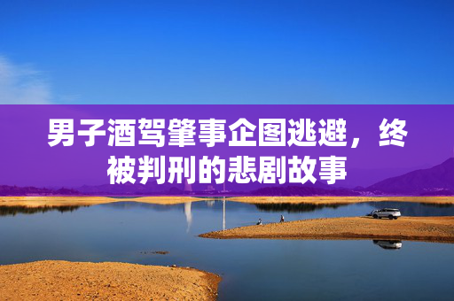 男子酒驾肇事企图逃避，终被判刑的悲剧故事
