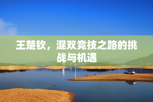 王楚钦，混双竞技之路的挑战与机遇