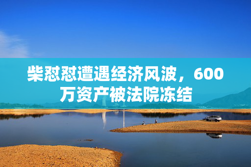 柴怼怼遭遇经济风波，600万资产被法院冻结