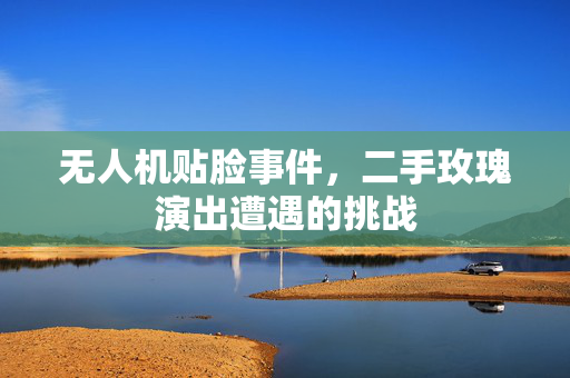 无人机贴脸事件，二手玫瑰演出遭遇的挑战