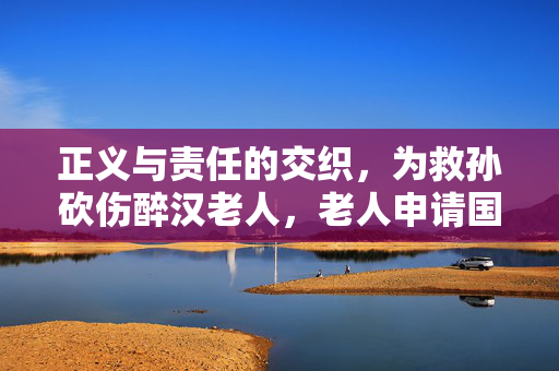 正义与责任的交织，为救孙砍伤醉汉老人，老人申请国赔128万事件剖析