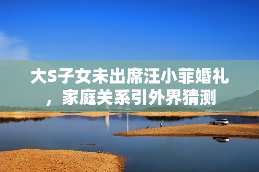 大S子女未出席汪小菲婚礼，家庭关系引外界猜测