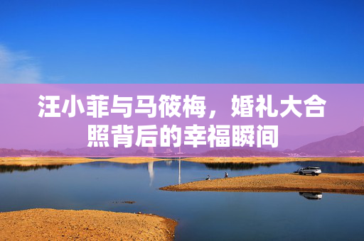 汪小菲与马筱梅，婚礼大合照背后的幸福瞬间