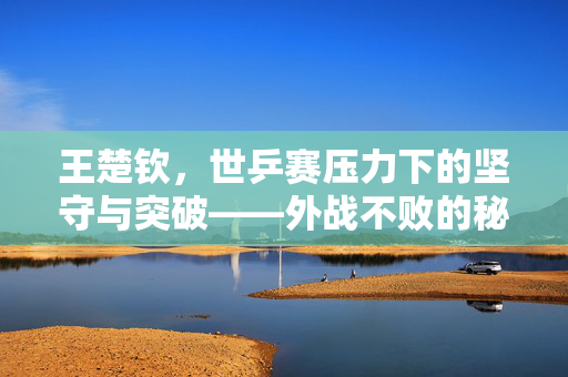 王楚钦，世乒赛压力下的坚守与突破——外战不败的秘诀