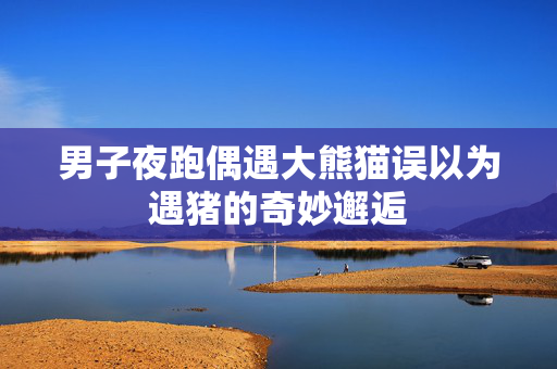男子夜跑偶遇大熊猫误以为遇猪的奇妙邂逅