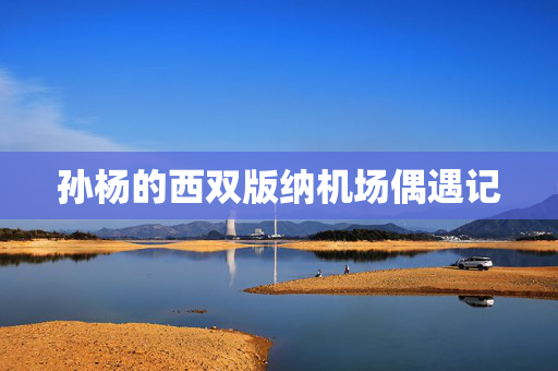 孙杨的西双版纳机场偶遇记