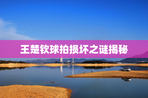 王楚钦球拍损坏之谜揭秘