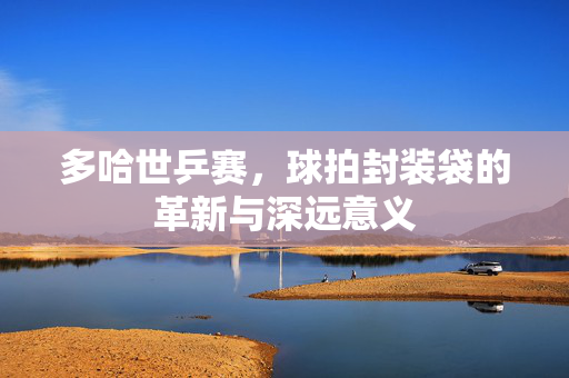 多哈世乒赛，球拍封装袋的革新与深远意义