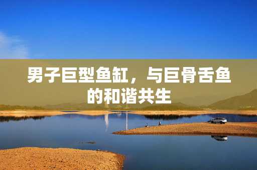 男子巨型鱼缸，与巨骨舌鱼的和谐共生