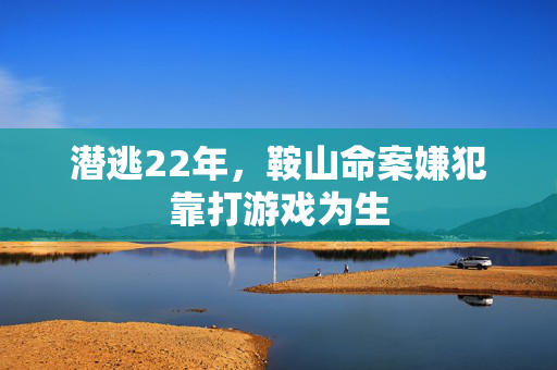 潜逃22年，鞍山命案嫌犯靠打游戏为生
