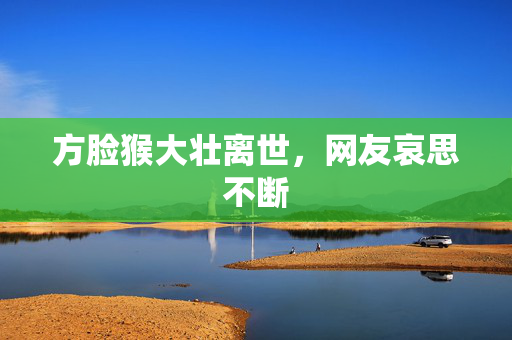 方脸猴大壮离世，网友哀思不断